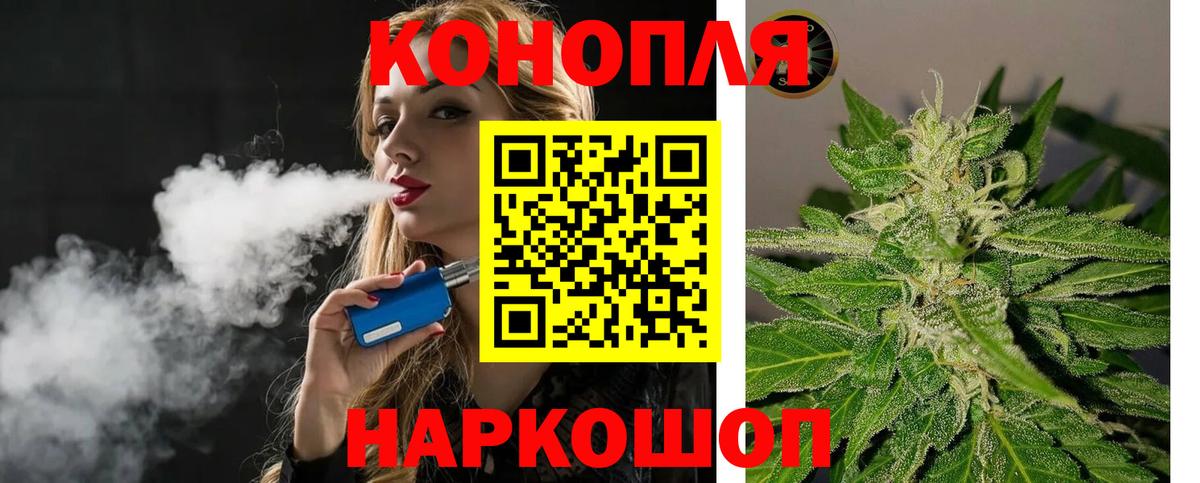 Конопля гибрид Трёхгорный